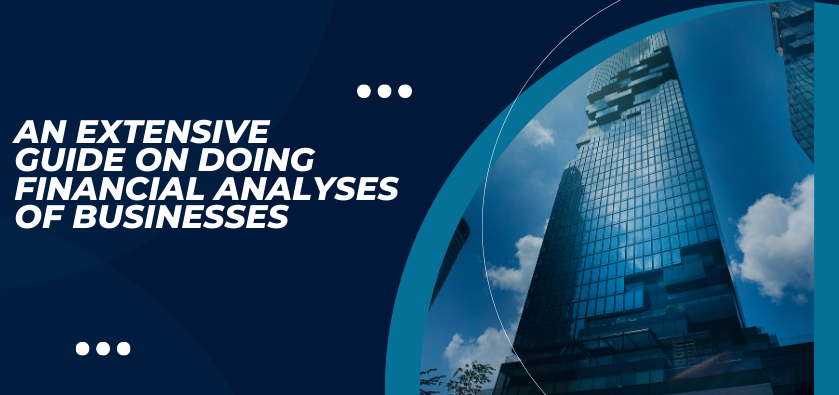 An Extensive Guide on Doing Financial Analyses of Businesses
